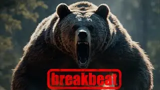 BREAKBEAK SESSION # 322 mixed by dj_némesys