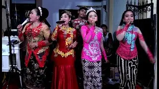KOPLO BANYU LANGIT PIKIR KERI PAMER BOJO  SAYANG 2 SEWU SIJI DARAH MUDA Campursari MORO SENENG