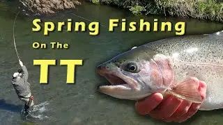 SPRING FISHING ON THE TAURANGA TAUPO RIVER