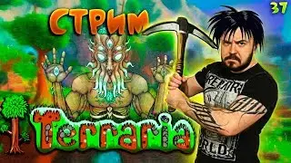 Террария стрим, серьезно? Terraria 1.4 прохождение игры | стримы прямой эфир