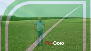 Выращивание сои в Калужской области