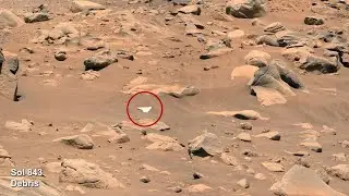 Perseverance & Ingenuity’s Epic 4K Mars Footage: Helicopter’s Journey and Final Crash