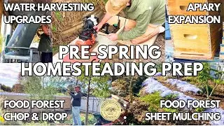 Water Harvesting | Food Forest Chop & Drop | Honey Season Prep | Winter 2024