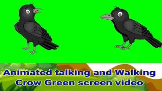 Animated Talking & Walking Crow green screen video for free#animation#birds#kidsvideo# nocopyright