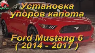 Установка упоров / амортизаторов капота на Ford Mustang 6 от upora.net
