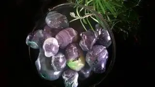 Edible space rocks