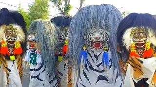 AKSI BARONGAN BLORA TERBARU MUSTIKA MACAN KUMBANG ~ SEDEKAH BUMI DESA KAJANGAN