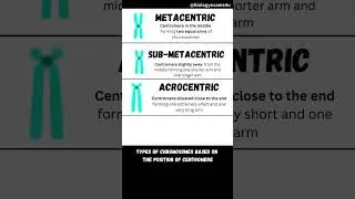 Types of Chromosomes