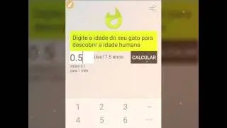 Descubra a idade humana do seu gato