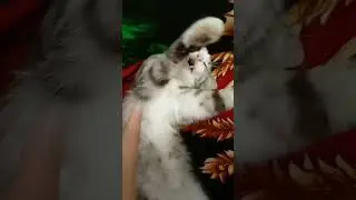 с днём защиты детей!!!