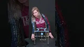 How does Newton’s Cradle work? 🤔