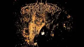 Wolves In The Throne Room - Dia Artio