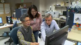 Melatonin and the body's circadian clock