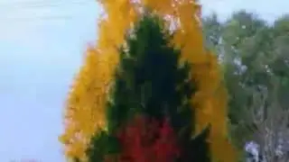 Позитивчик. Доброе утро!