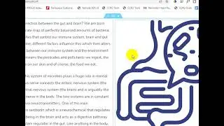 How to Structure Blog Content In Elementor: Why Weird Elementor Format  When Copy/Pasting Word GDocs