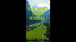 Вдохновляющие Цитаты о Жизни | Слова, которые Поражают Мудростью 