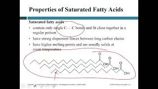 Lecture #12 - Lipids