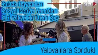 Yalovalılara Sorduk: Sizi Yalova'da Tutan Şey Ne? Sosyal Medya Yasakları ve Sokak Hayvanları Kanunu