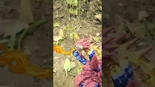 Hulk Hijau Melawan Monster #ultraman #dramamainan