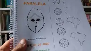 Livro História Paralela do Dominó de História