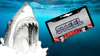 Steel