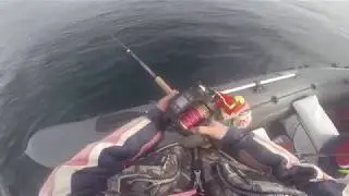 Работа Электрокатушка Daiwa Tanacom 1000