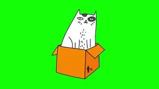 GREEN SCREEN CATS FREE FOR VIDEOS 122 - Green Screen Effects