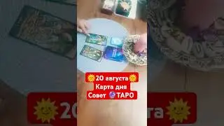 20августа #таро #tarot #картадня #советтаро #гаданиеонлайн #2024