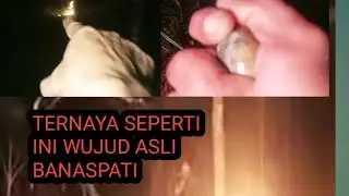 WUJUD ASLI BANASPATI