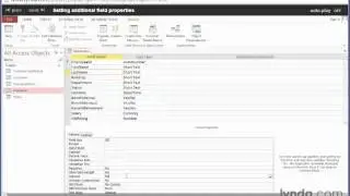 23 Access 2013 Setting additional field properties