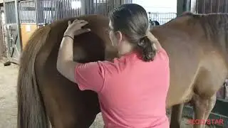 Equine Massage Lesson 7 Horse#2 Kelsey Deraway