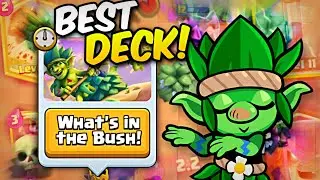 Best DECK for 