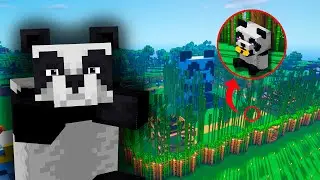 Construí una Ciudad de Pandas