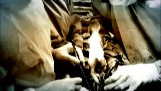 X SAMED: Vídeo Oficial