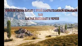 WOT SOBOOLEK.SOBOLEK СНОВА КАТАЕТ СЭТОЙ ЗАМЕЧАТЕЛЬНОЙ КОМАНДОМ ИЛИ КАК РАК ВЫЖИВАЕТ В УКРЕПЕ