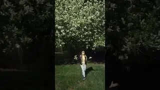 Белая черемуха!!!!