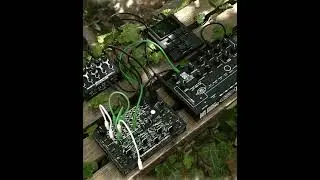 Presets on THYME+