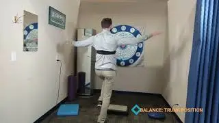 Balance Progressions: Center of Mass Visual Feedback during standard progressions.