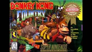 Donkey Kong Country - Fear Factory ( Piano Cover )