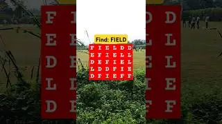 Observation Visual Test: Episode-196, Spot "FIELD". Try Your Skills! #find #puzzle #shorts