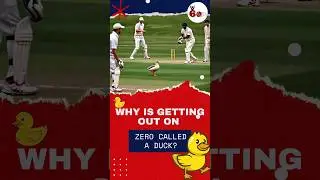whyy is ZERO called DUCK #cricket #indiancricket #ICC #duck #rohitsharma #viratkohli #india #shorts