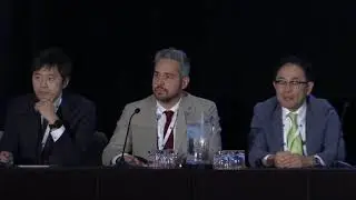 2018 Symposium - Panel: Sonodynamic Therapy