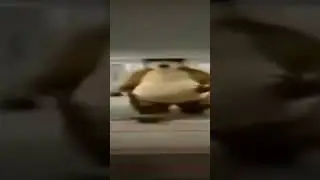 о нет широкий Фреди фазбер уже бежит #подпишись