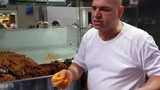 Çiğköfteci Ali Usta - İyi şov, kötü çiğ köfte