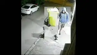 Criminalul de la Timișoara