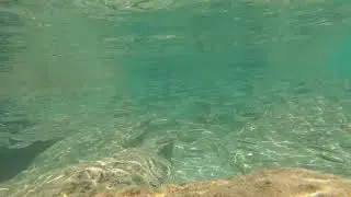 Подводная одиссея
