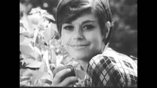 Реклама камеры Polaroid Swinger 1965 год