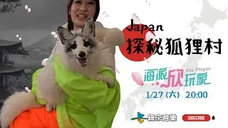 🦊萌萌噠~百隻狐仙大人坐鎮，探秘日本狐狸村！秘境溫泉♨️！神隱少女的湯婆婆藏在這？｜《海派欣玩家》｜第4集｜週六 