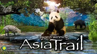 Zoo Tours: The Award Winning Asia Trail | Smithsonian National Zoo