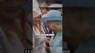 ВЕЧЕРИНКА ВИНЗДОРОВО В САДУ ХОЛИРУД